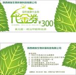 绿色树叶代金券矢量图