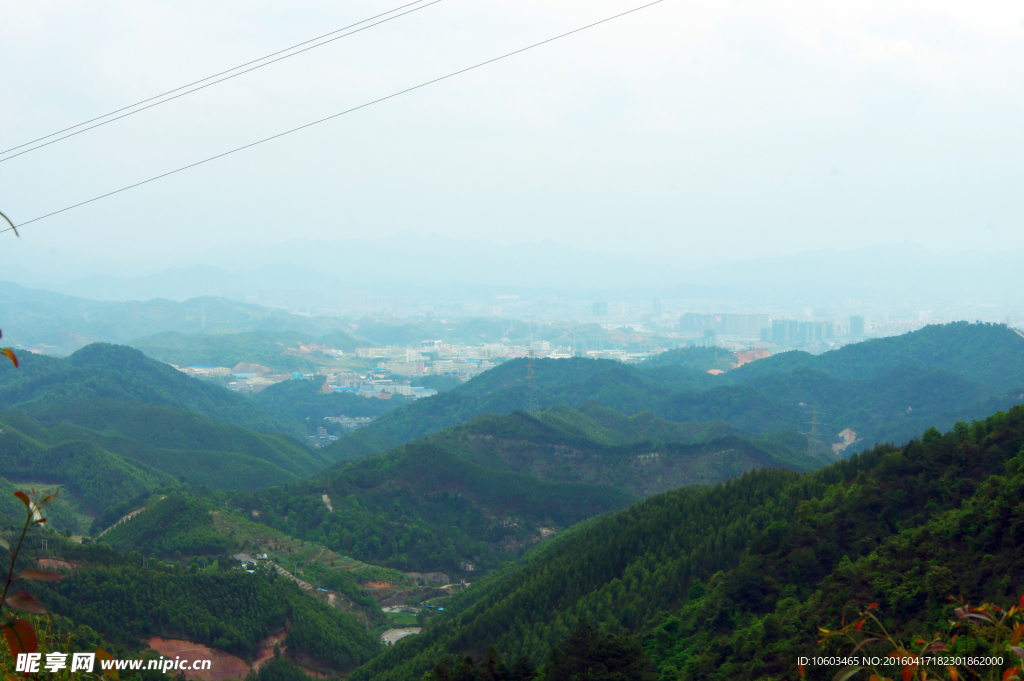 城市森林 园林山水