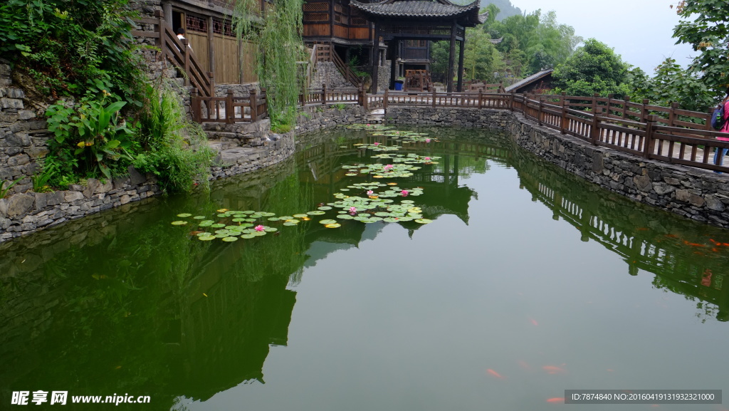 三峡人家杨家溪