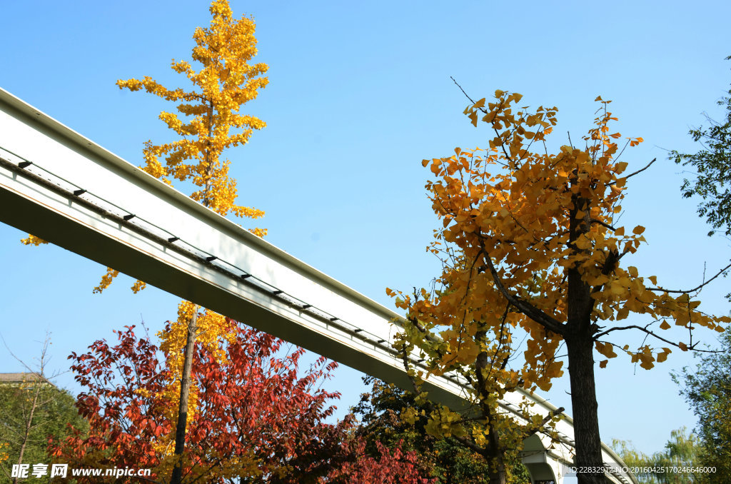 西安唐城墙遗址公园