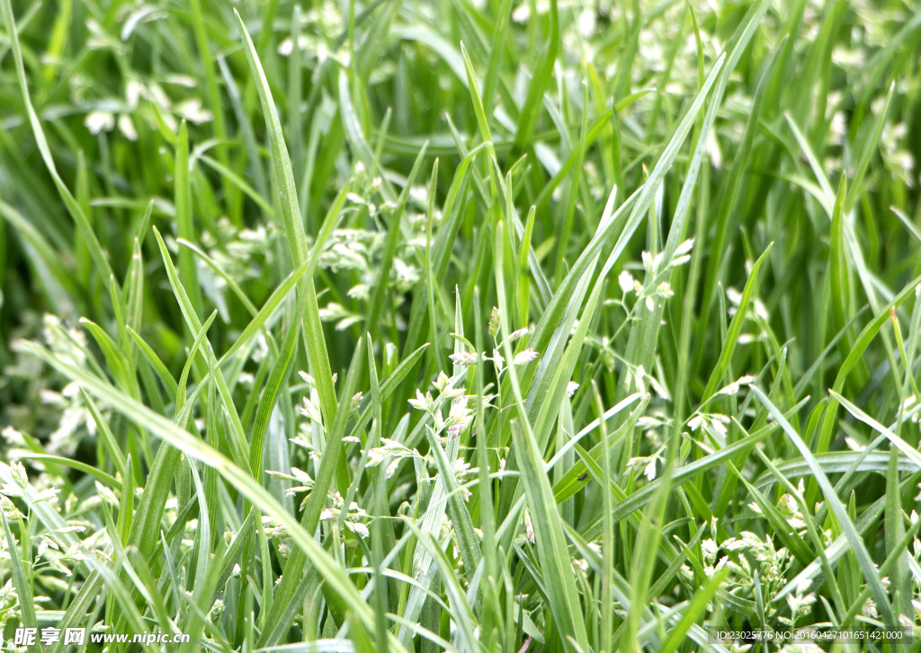 郑州大学校园风景