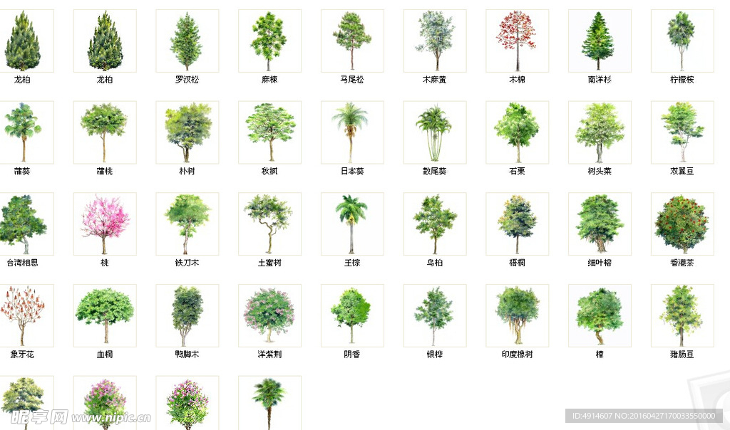 手绘素材 手绘乔木 乔木素材