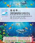 海鲜池名片