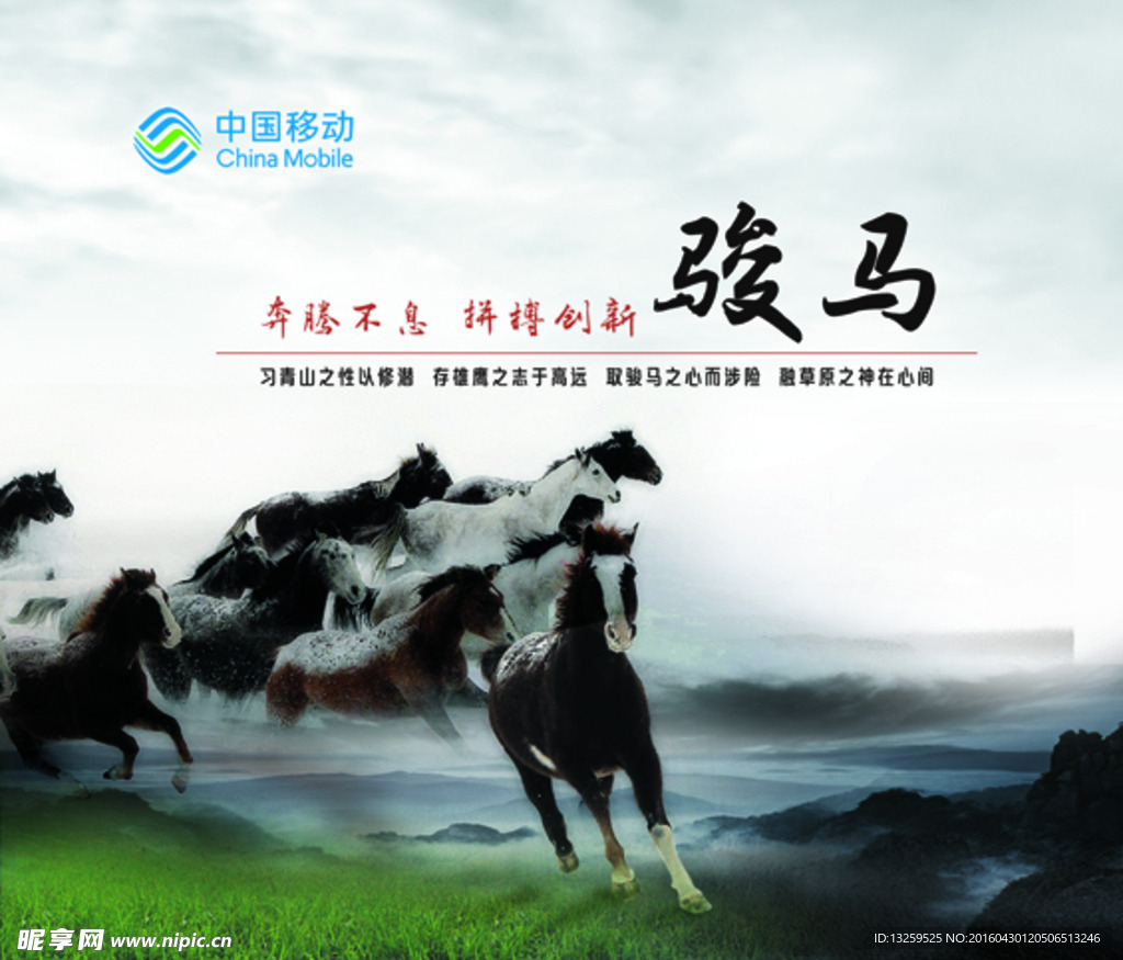 骏马  企业文化