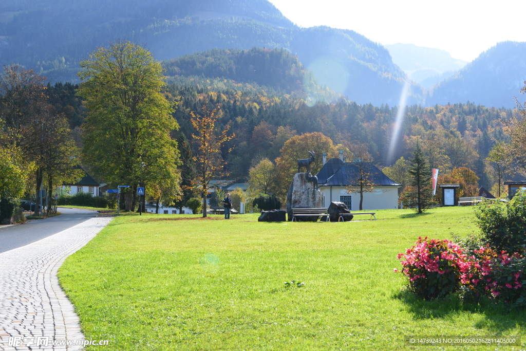 阳光草地山林村庄