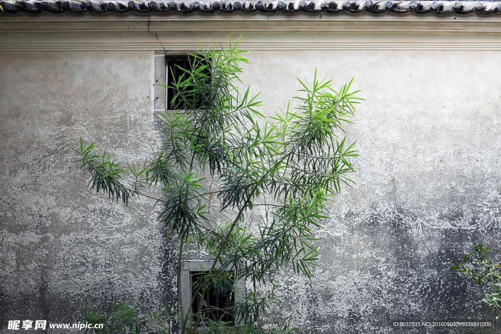 深圳观澜版画村