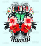 水彩花 水彩 素描