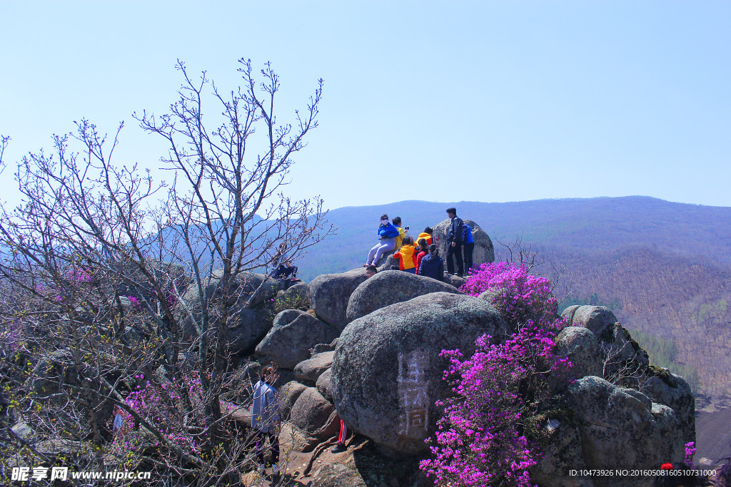 涯峰惬意摄影图片