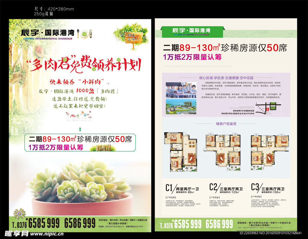 多肉君免费领养单页