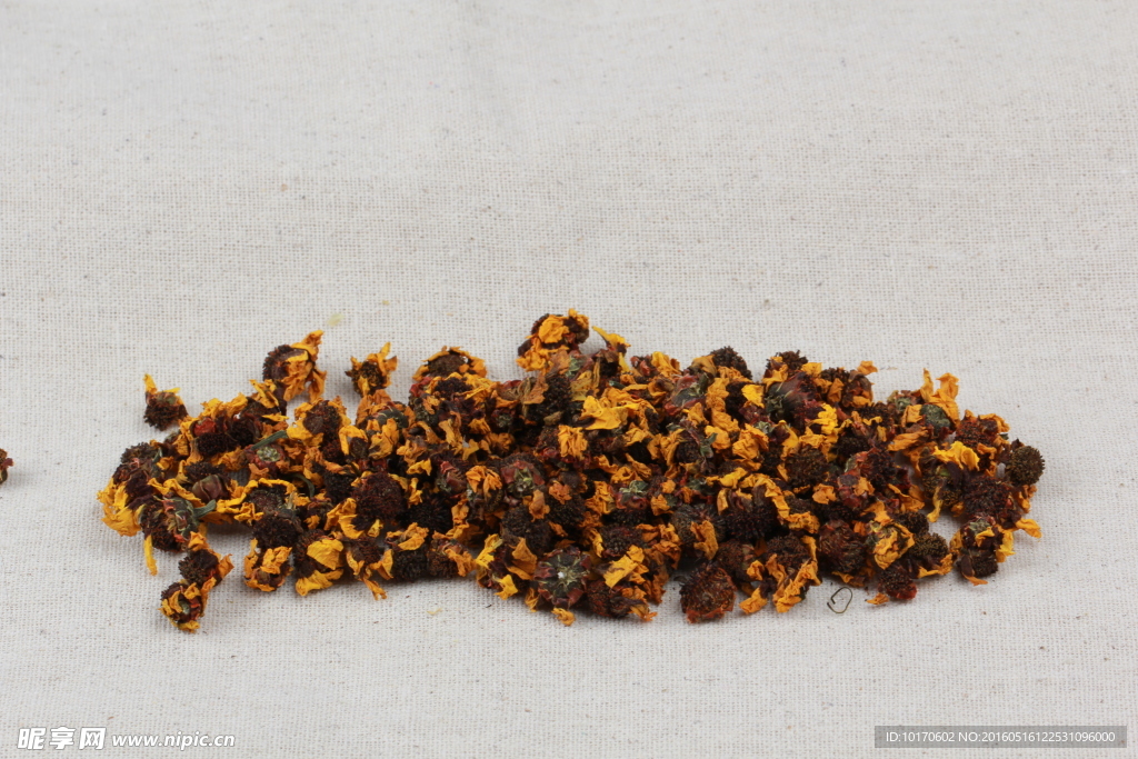 昆仑雪菊描述摄影图