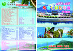 旅行社单页