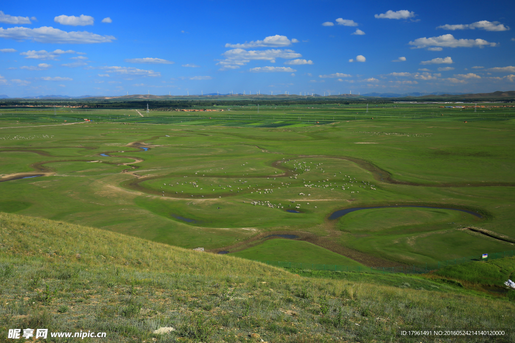 内蒙古草原