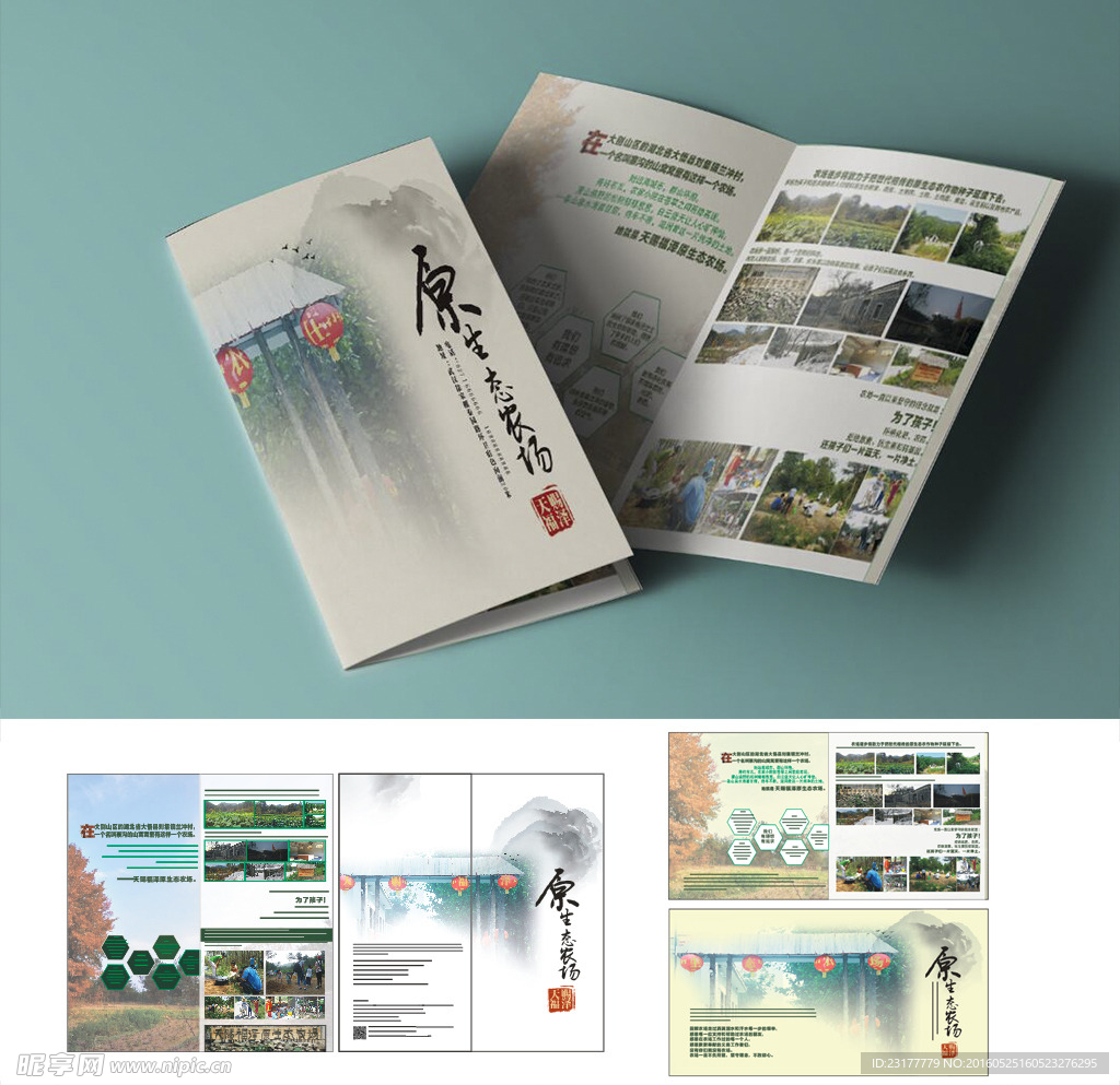 原生态农场折页