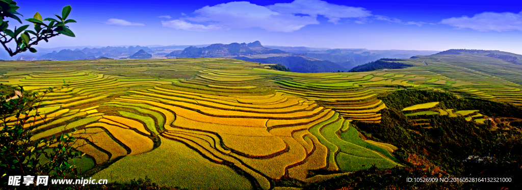贵州-黔陶谷洒梯田风光