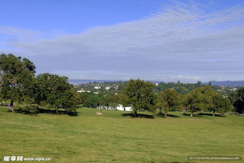 奥克兰一树山风光