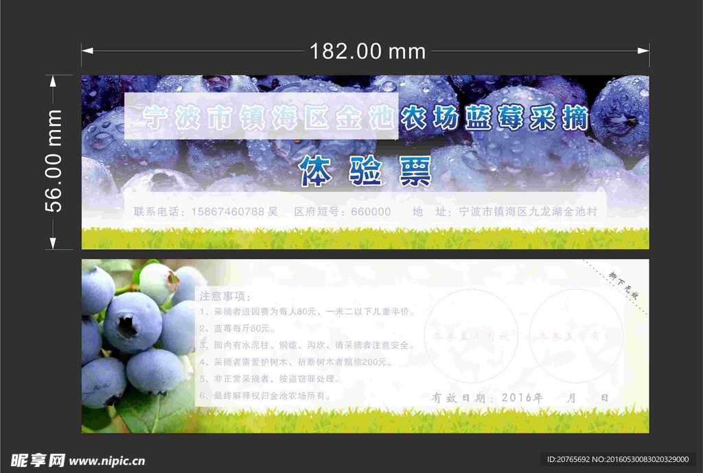 蓝莓采摘券 体验票