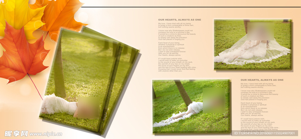 艺术写真相册模板