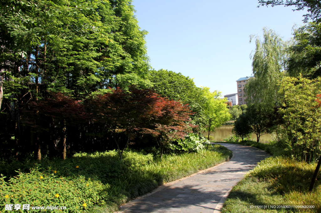 吉安螺湖湾湿地公园