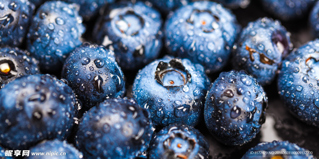 蓝莓背景