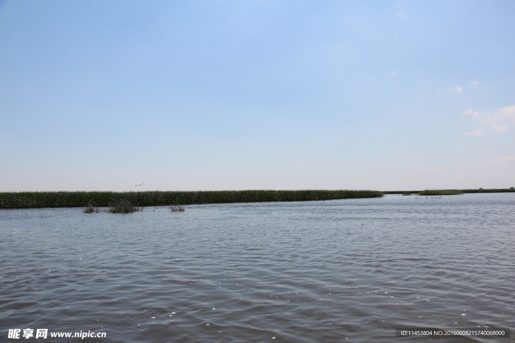 千鹤岛湿地