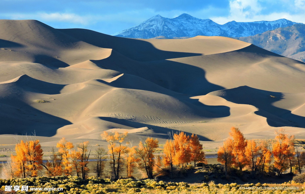 秋天戈壁沙漠图片