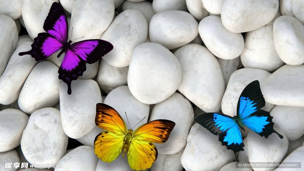 美丽石头蝴蝶