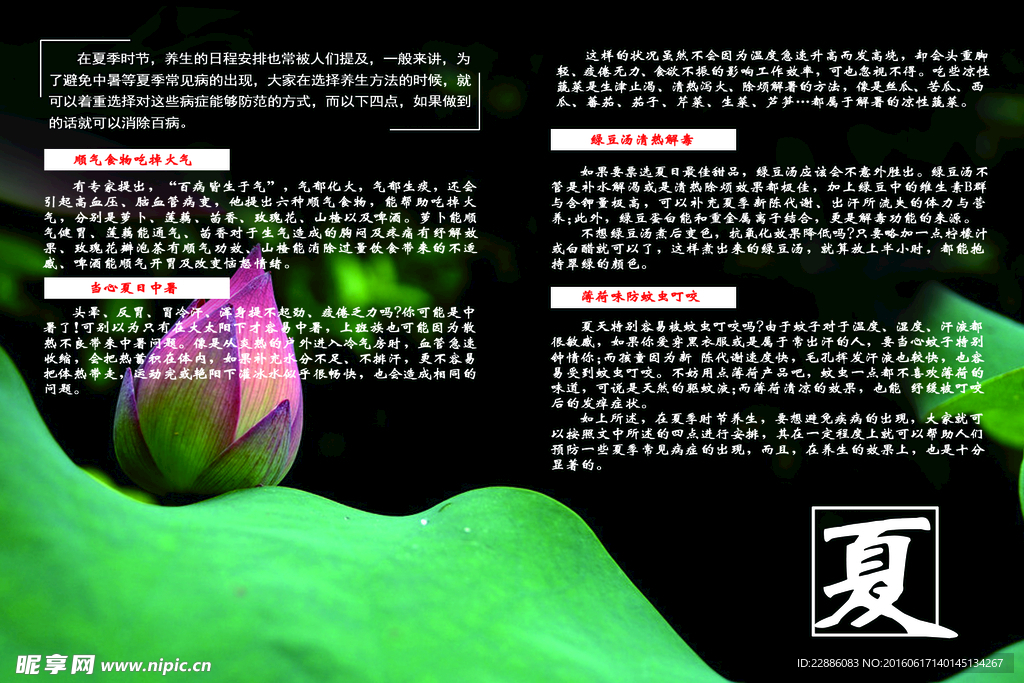 夏季宣传栏psd分层素材