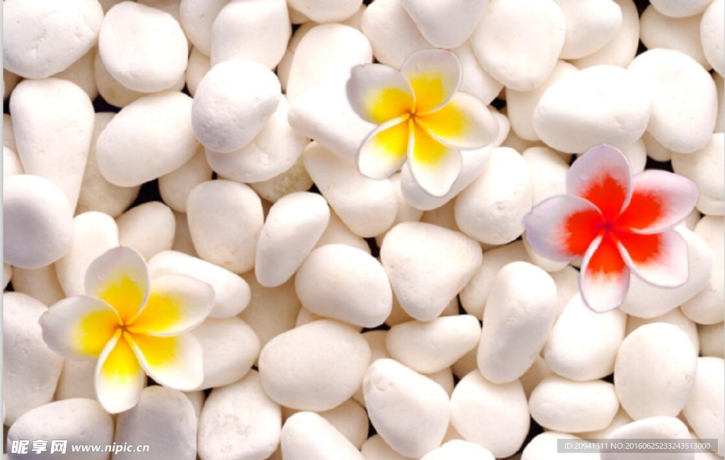 鸡蛋花鹅卵石唯美3D电视背景墙