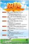 招聘海报
