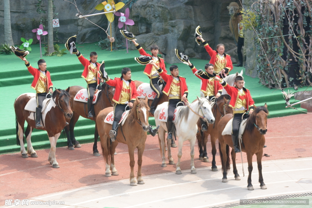 骑马表演