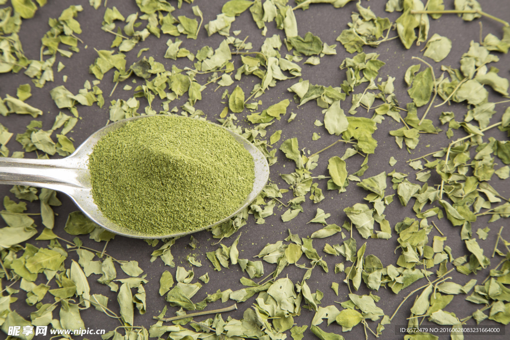 绿色辣木属材料高清