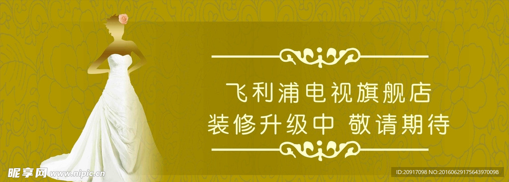 飞利浦 美女 欧式花边 白色婚