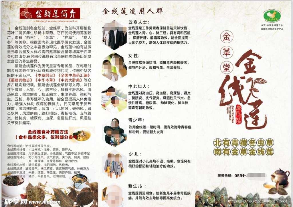 金线莲海报 菜单