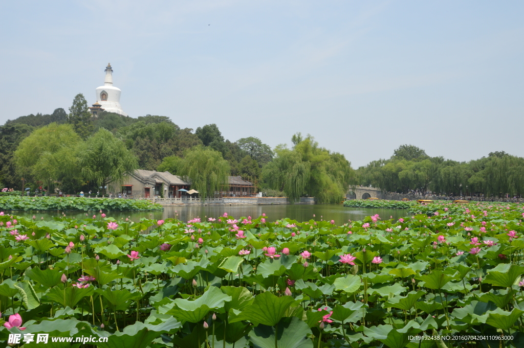 北海公园风景  北海公园美景