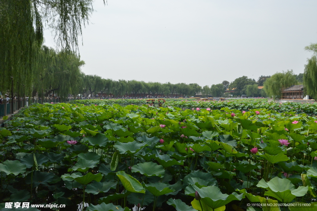北海公园美景