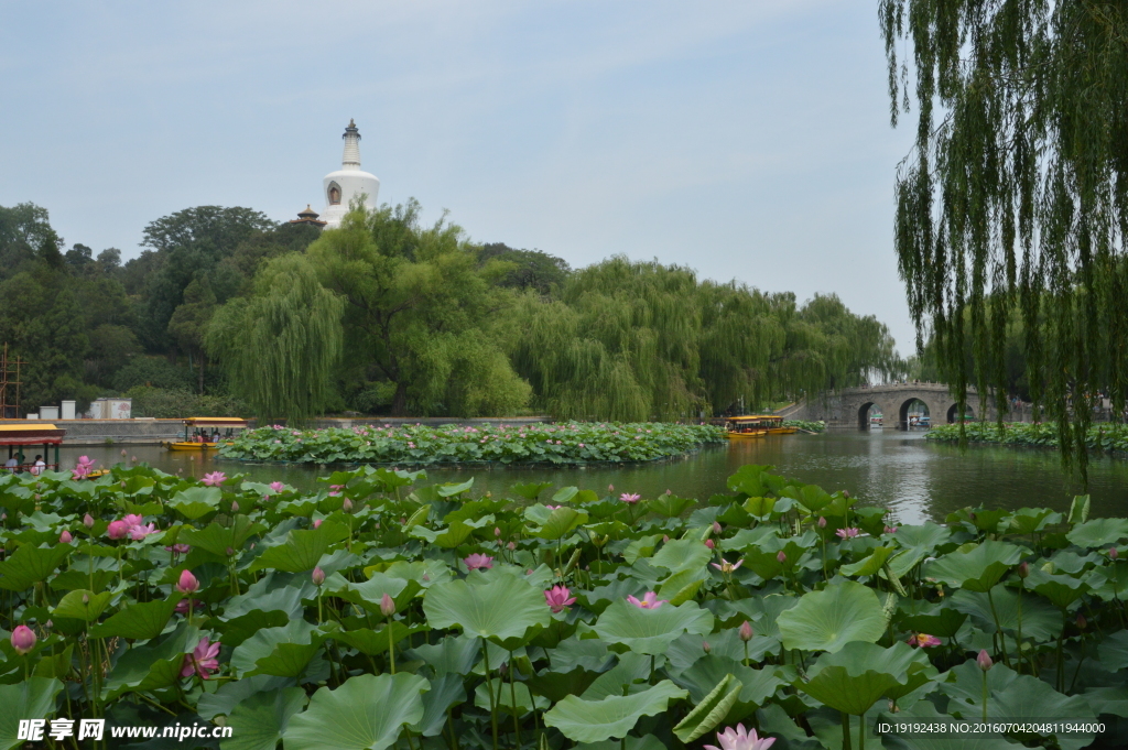 北海公园美景