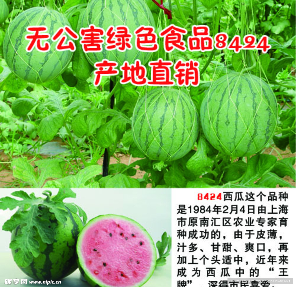 西瓜广告
