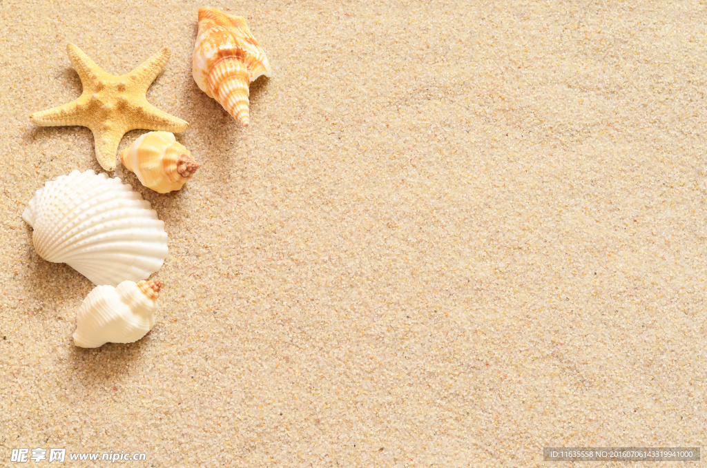 唯美海边沙滩景色