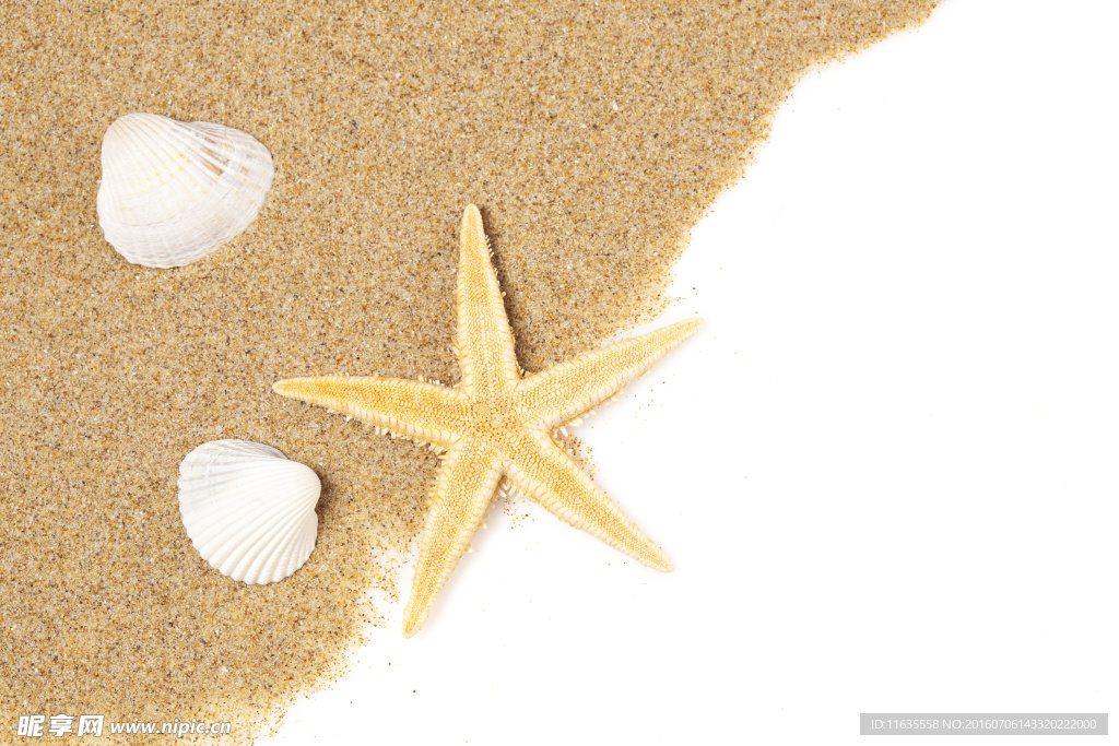 唯美海边沙滩景色