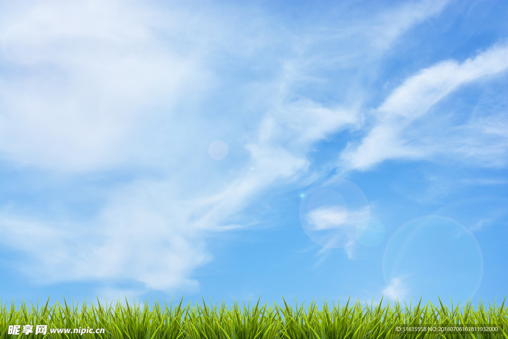 美丽的春天草地景色