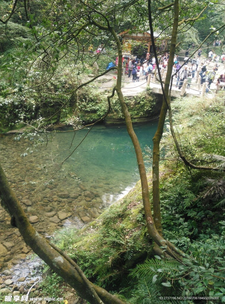 张家界武陵源森林公园