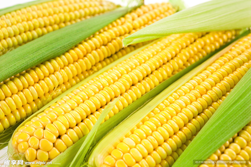 美味的玉米粒与玉米