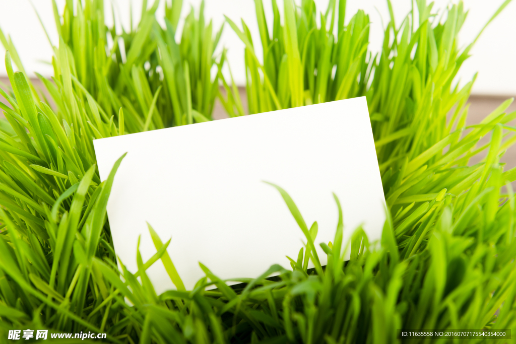 展示空白名片的商务人士