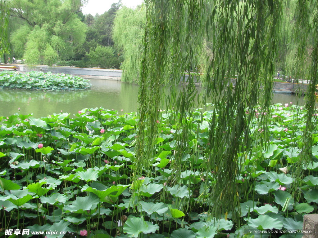 北海公园风景