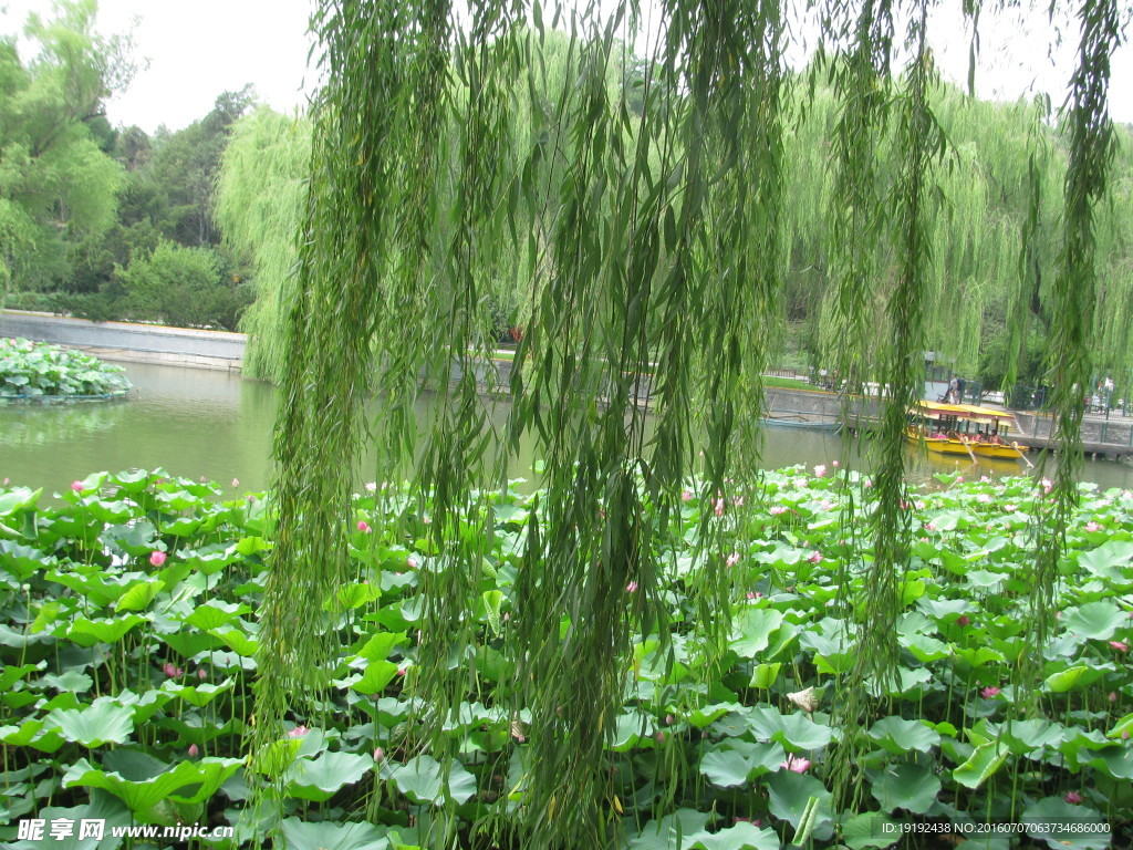北海公园风景
