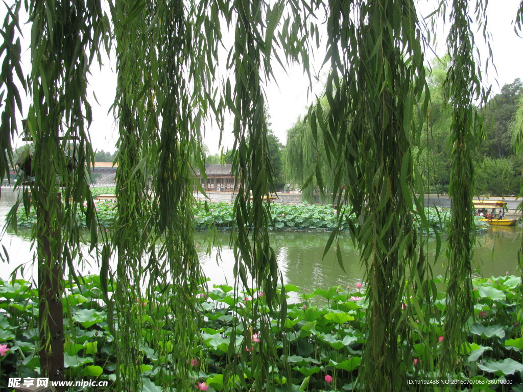 北海公园风景