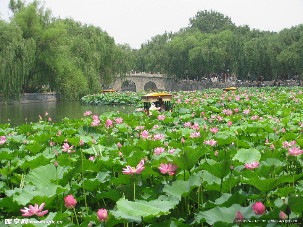 北海公园风景