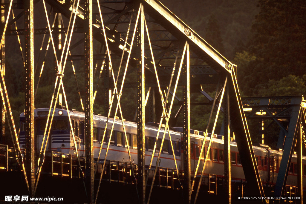 高架桥上行驶的火车