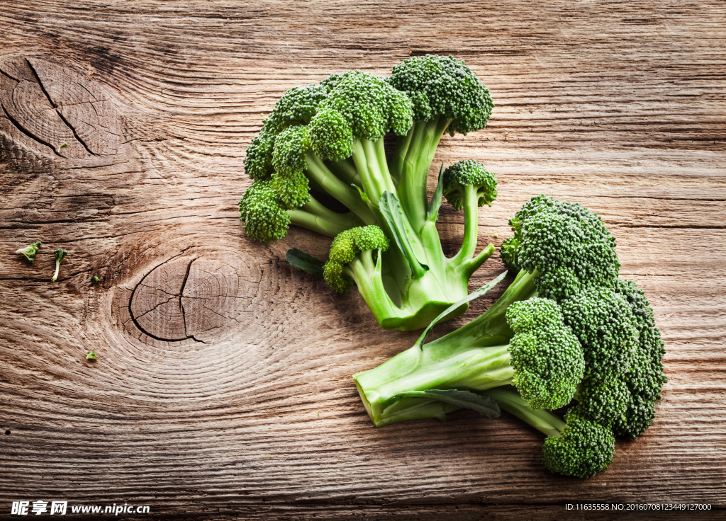 新鲜的西兰花蔬菜