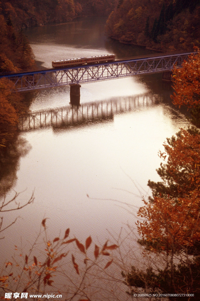 立在桥上的火车轨道